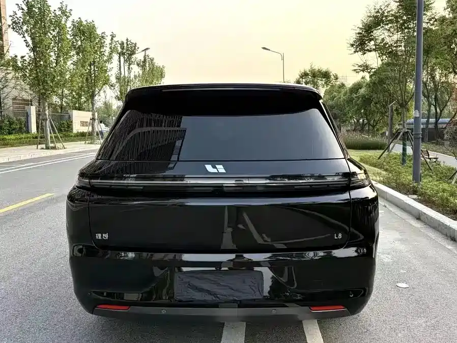 Li Auto Li L8 2023 Pro фото 13