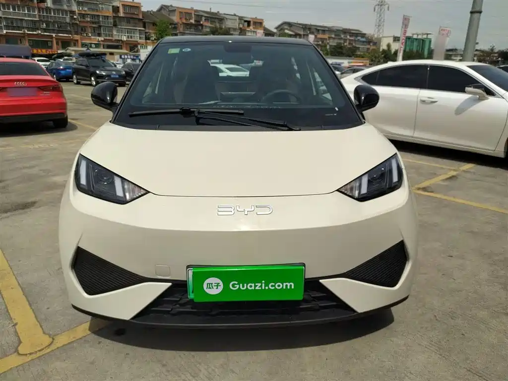 BYD Seagull 2025 Smart Drive Edition 305km Vitality Version фото 3