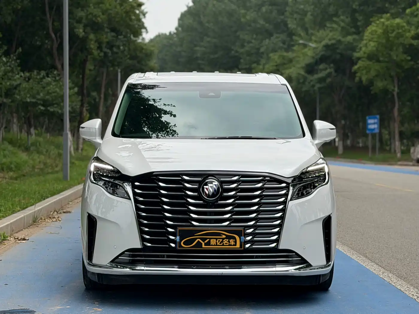 Buick GL8 2023 ES Landmaster Luxury фото 2