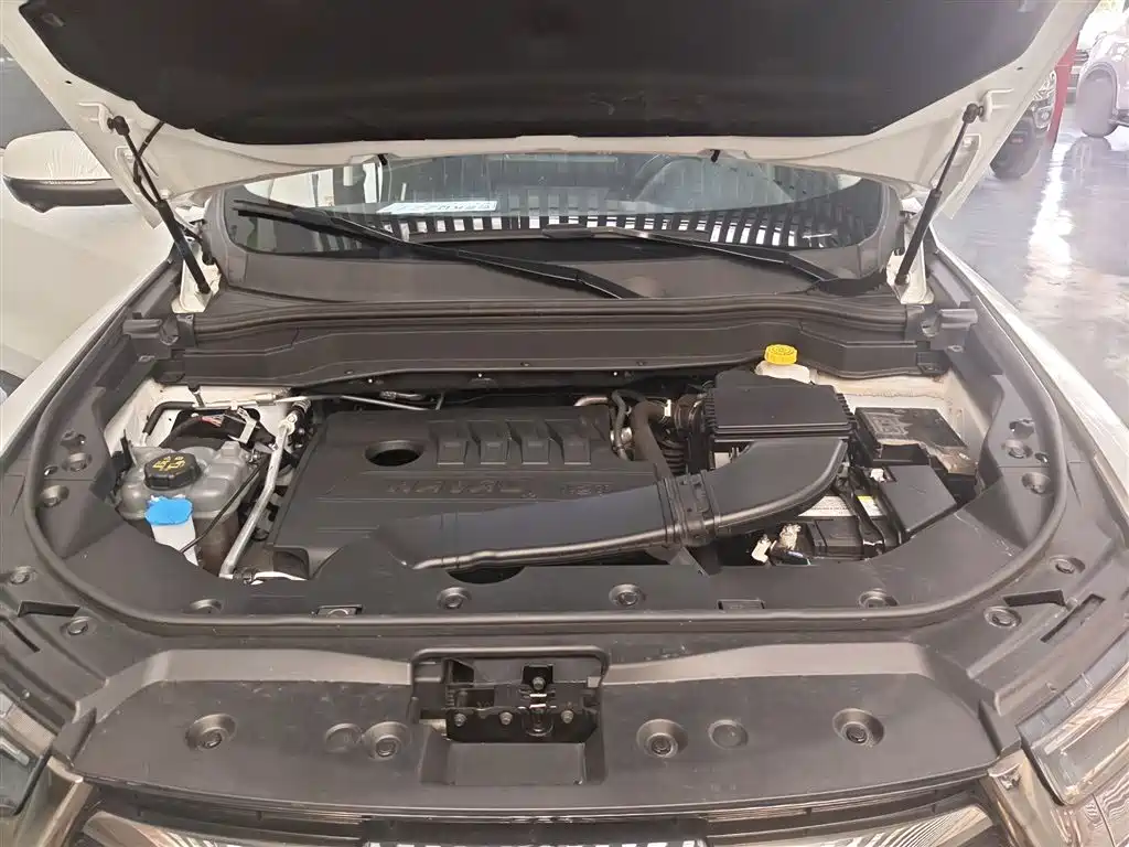 Haval H6 2021 Model National Trend Edition 1.5T Auto Champion фото 16