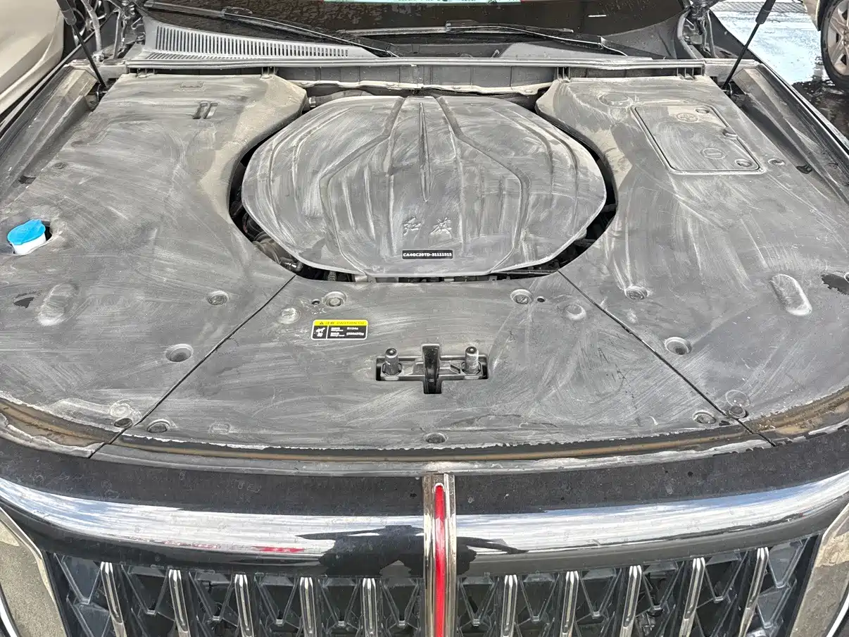 Фото 13 - Hongqi H9