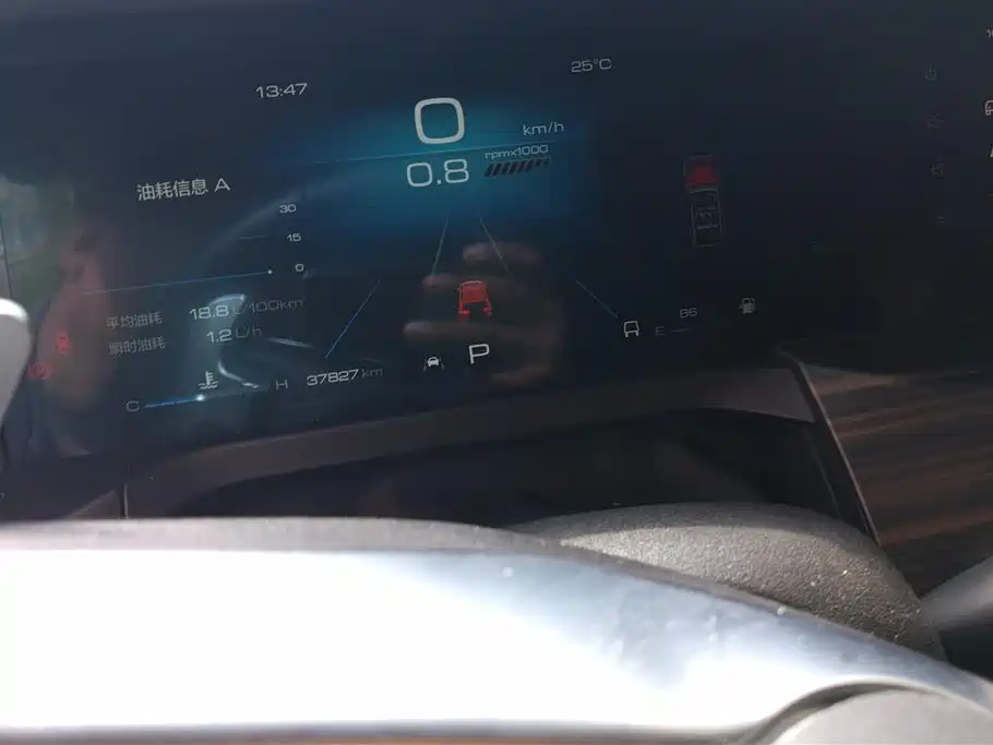 Tank 300 2021 Off-road Edition 2.0T Challenger фото 14