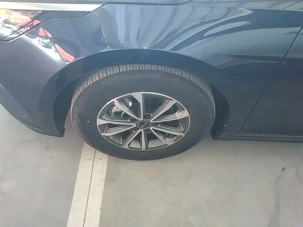 BYD Destroyer 05 2024 Glory Edition DM-i 55KM Luxury фото 23