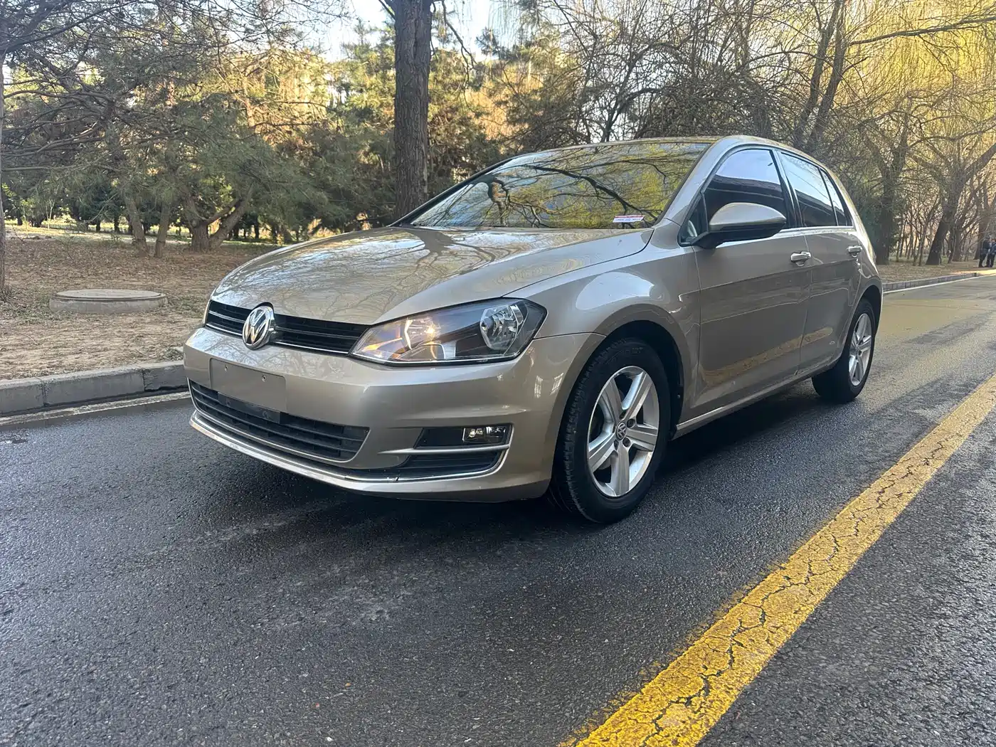 Volkswagen Golf 2016 230TSI Automatic Comfort