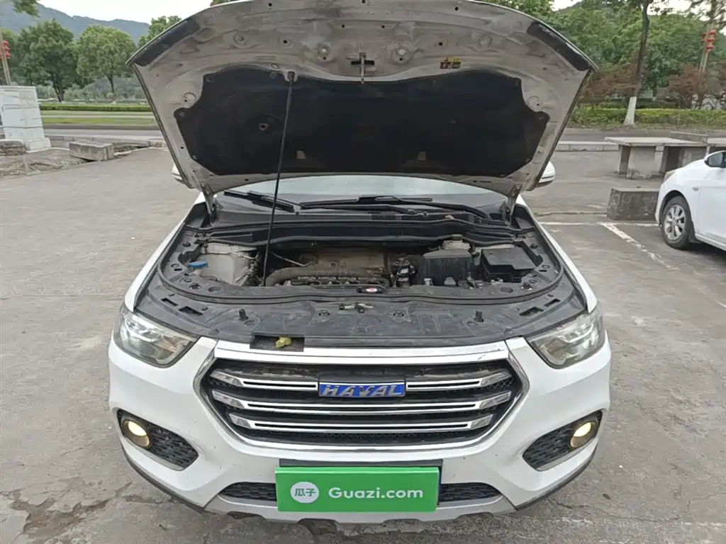 Haval H6 2017 Blue Label Sport 1.5T Auto 2WD Luxury фото 20