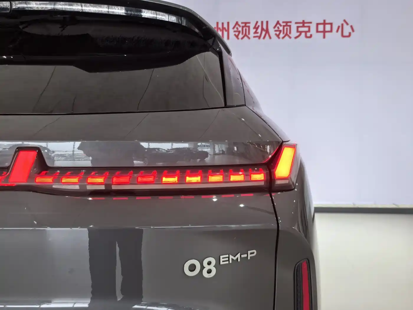 Lynk & Co 08 EM-P 2023 120km Long Range Halo фото 7