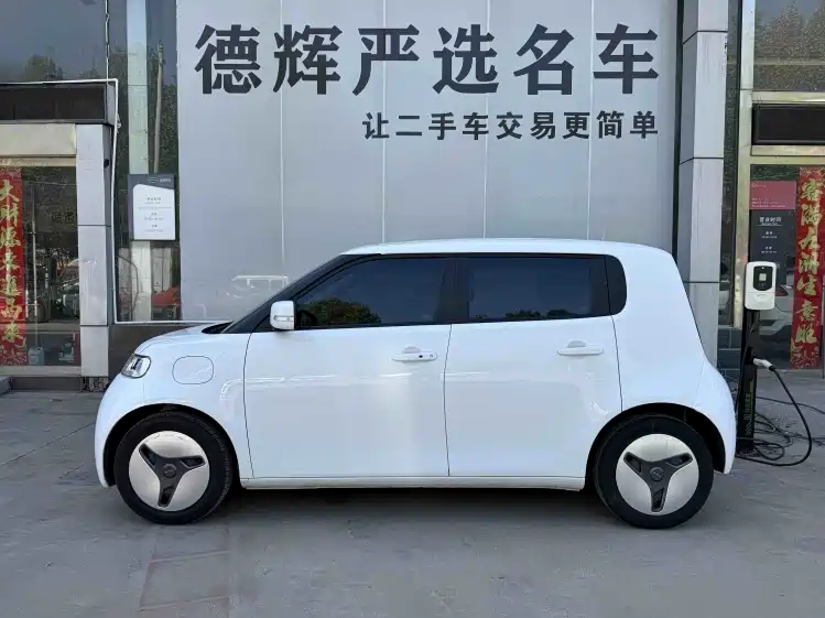 Ora White Cat 2021 2020 360km Standard Model