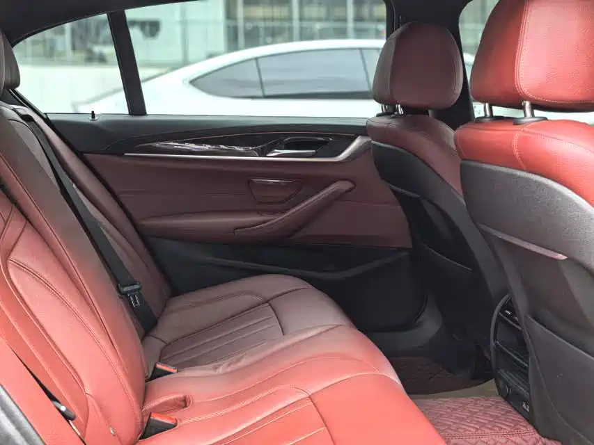 BMW 5 Series 2020 530Li Leading M Sport Package фото 10