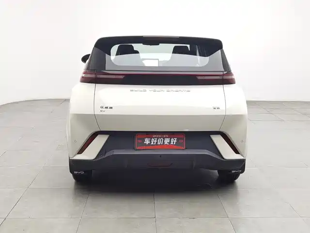 BYD Seagull 2024 Glory Edition 305km Vitality Edition — фото 4