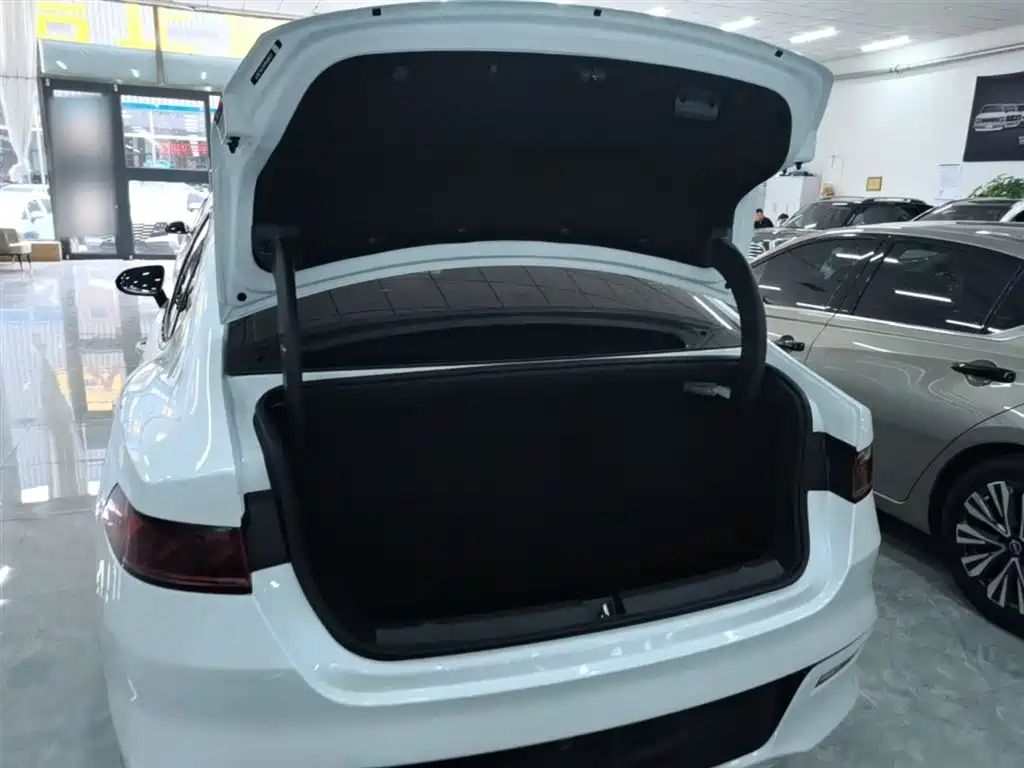 BYD Qin PLUS 2023 Champion Edition DM-i 55KM Leading фото 19