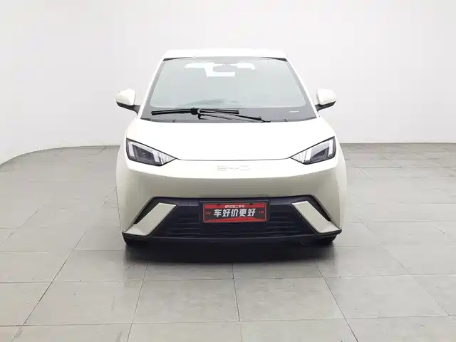 BYD Seagull 2024 Glory Edition 305km Vitality Edition — фото 3