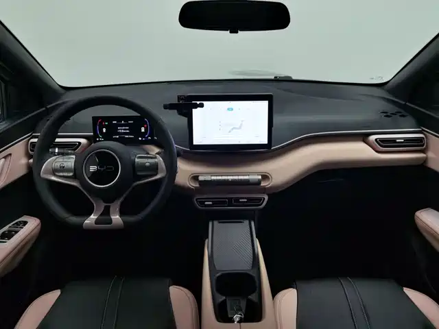 BYD Seagull 2024 Glory Edition 305km Vitality Edition — фото 5