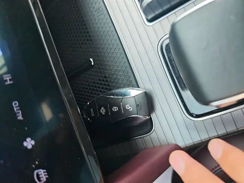 Hongqi HS7 PHEV 2024 2.0T PHEV 4WD Flagship Edition 6-seater фото 9