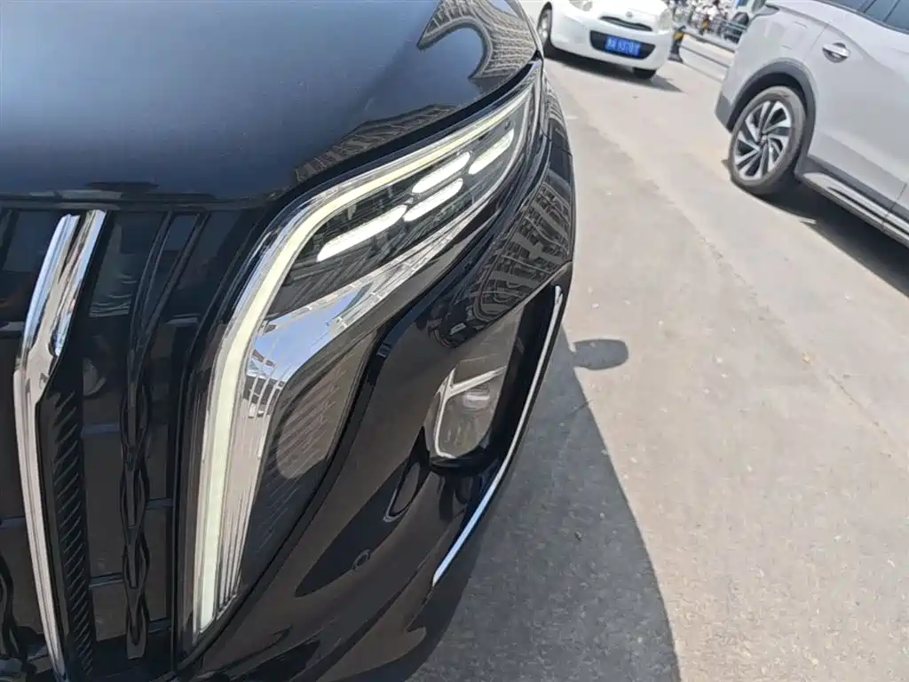 Hongqi HS7 PHEV 2024 2.0T PHEV 4WD Flagship Edition 6-seater фото 24