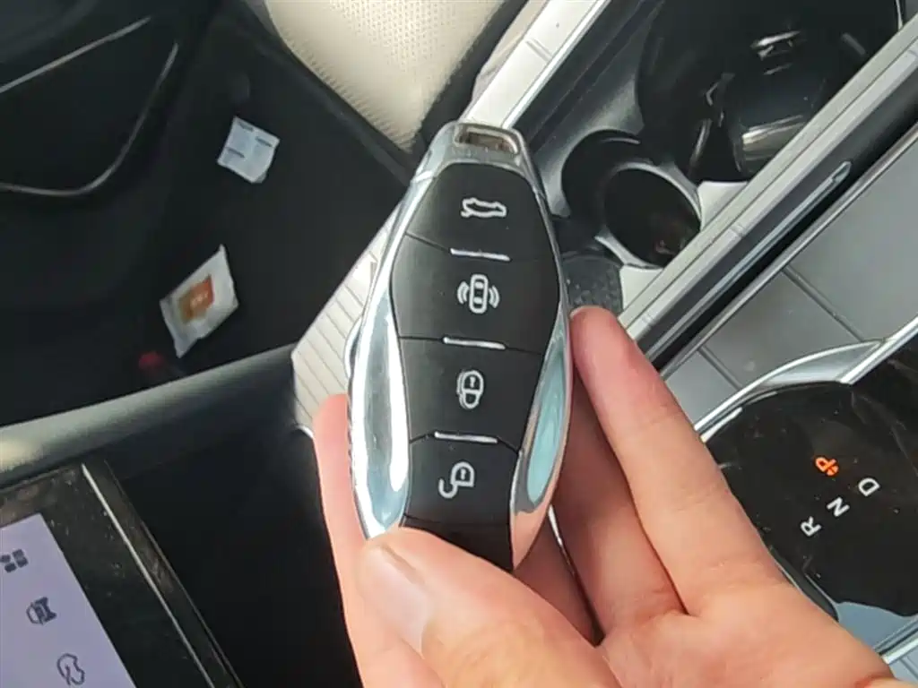 Hongqi HS7 PHEV 2024 2.0T PHEV AWD Flagship 6-Seater фото 9