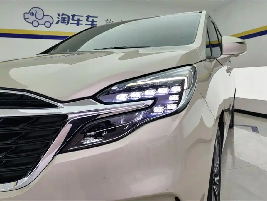 Buick GL8 2021 ES Landlord 653T Luxury фото 5
