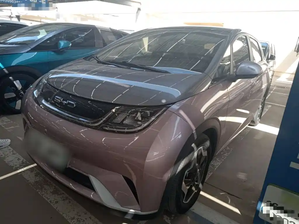 BYD Dolphin 2021 Model 405km Fashion Edition фото 2