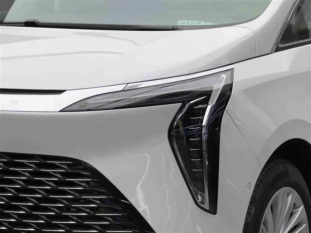 Buick Century 2025 2.0T 7-Seater World Edition фото 3