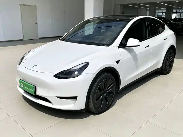  Tesla Model Y 2023 Rear-Wheel Drive Edition