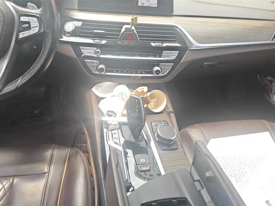 BMW 5 Series 2018 Facelift 530Li Leading Luxury Package фото 16