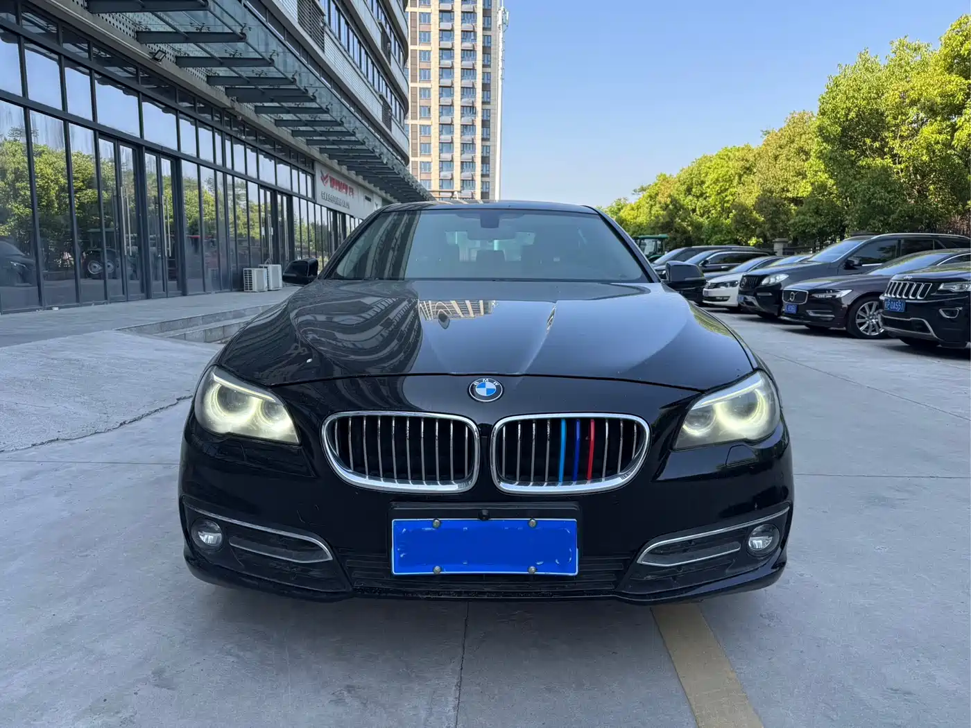 BMW 5 Series 2017 525Li Luxury Design Package фото 2