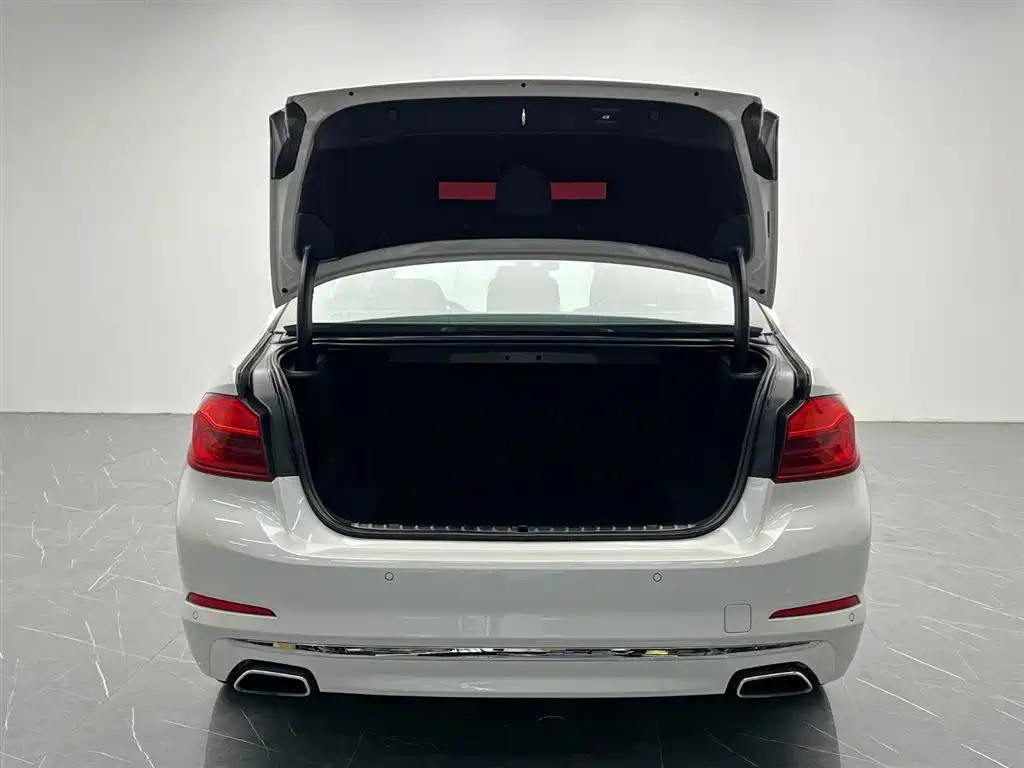 BMW 5 Series 2020 525Li Luxury Package фото 10