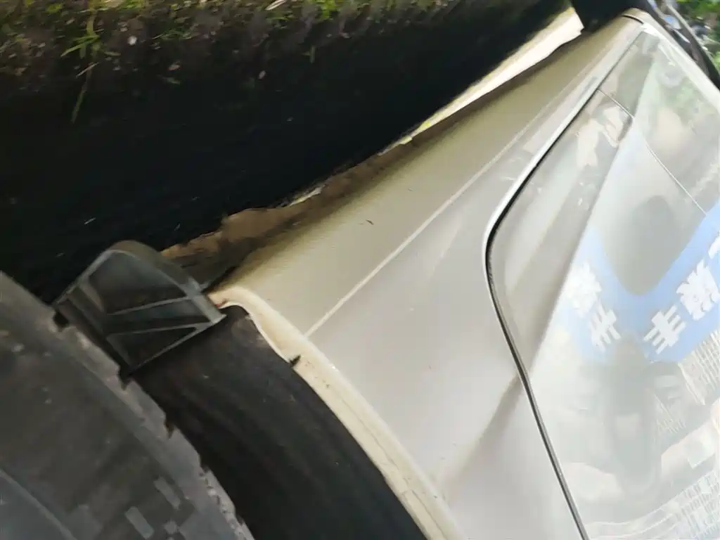 BYD Qin 2019 1.5L Automatic Luxury Edition фото 22