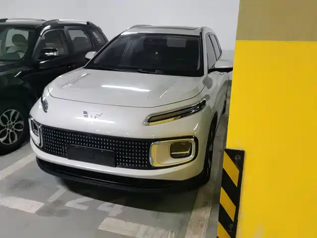  Wuling Motors Wuling Stellar Cloud 2023 2.0L DHT Flagship Edition