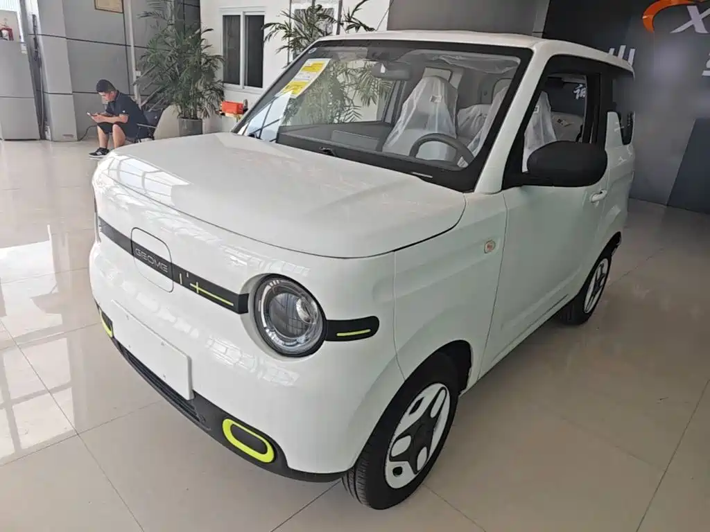 Geely Galaxy Panda 2026 2025 Panda mini 210km Vitality Bear