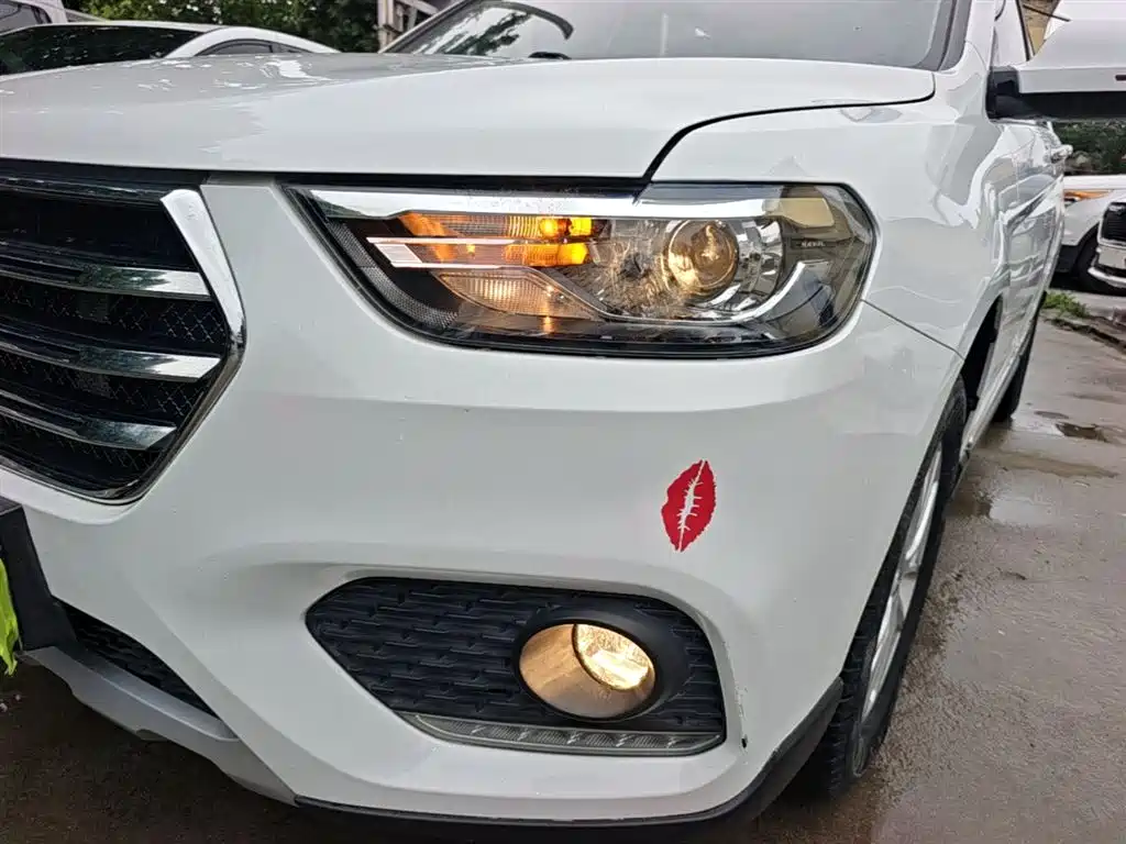 Haval H6 2018 Blue Label Sport 1.5T Manual 2WD Elite фото 18