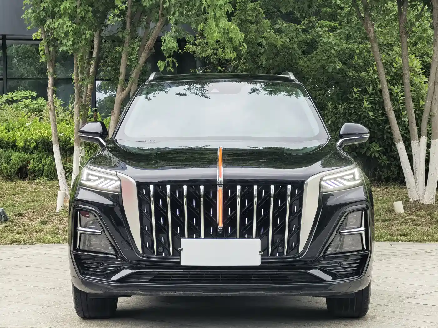 Hongqi HS5 2023 2.0T Flag Enjoy Pro Edition фото 3