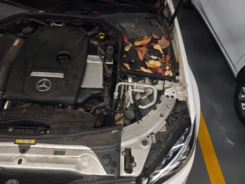 Mercedes-Benz C-Class 2016 C 200 L Sport фото 22