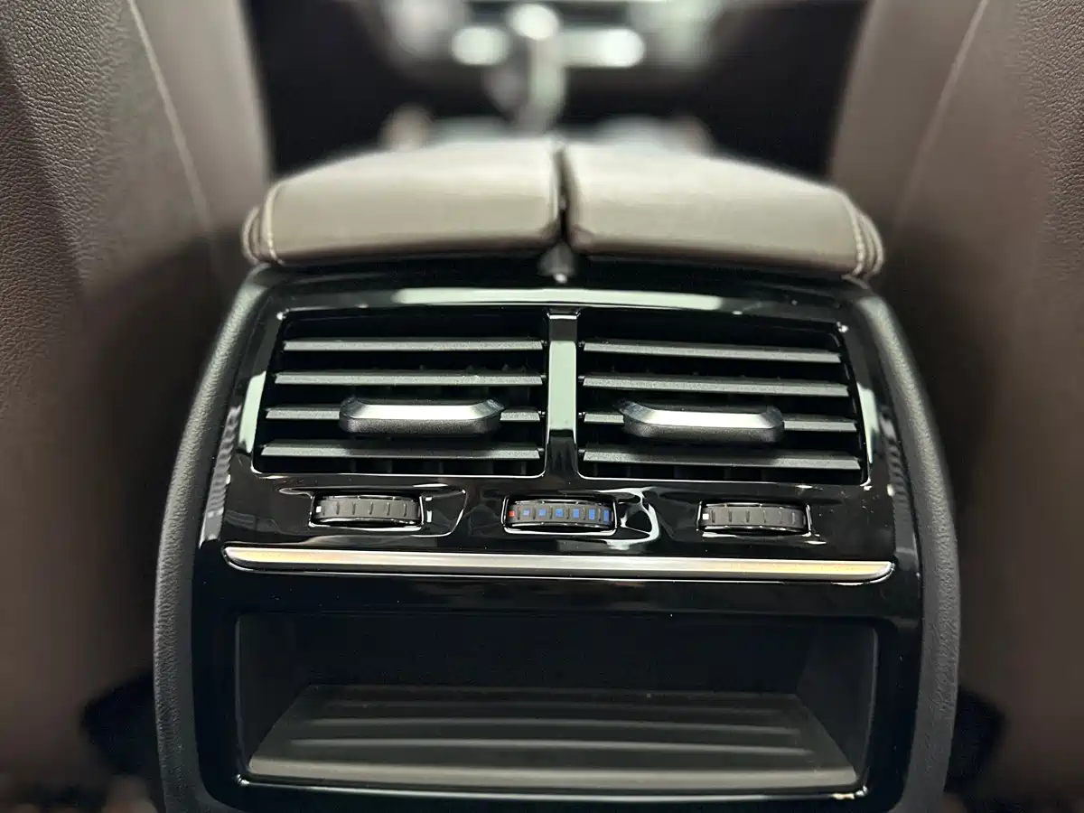 BMW 5 Series 2020 530Li Leading Luxury Package фото 10
