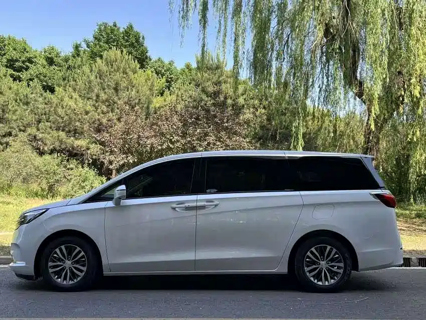 Buick GL8 2020 Model ES Landglory 653T Comfort фото 5