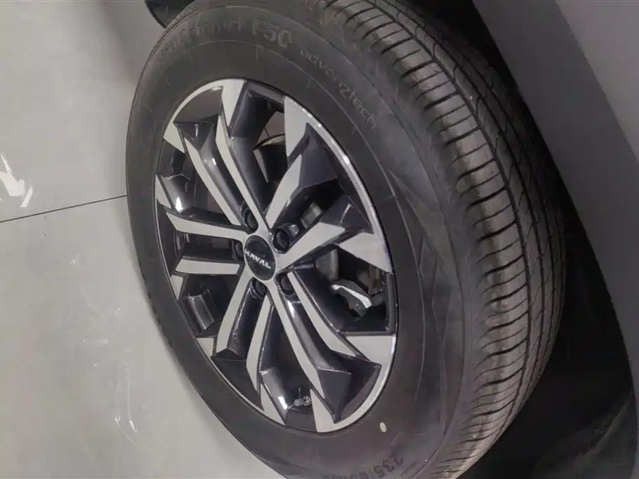 Haval Big Dog 2024 1.5T DCT Border Collie Edition фото 6