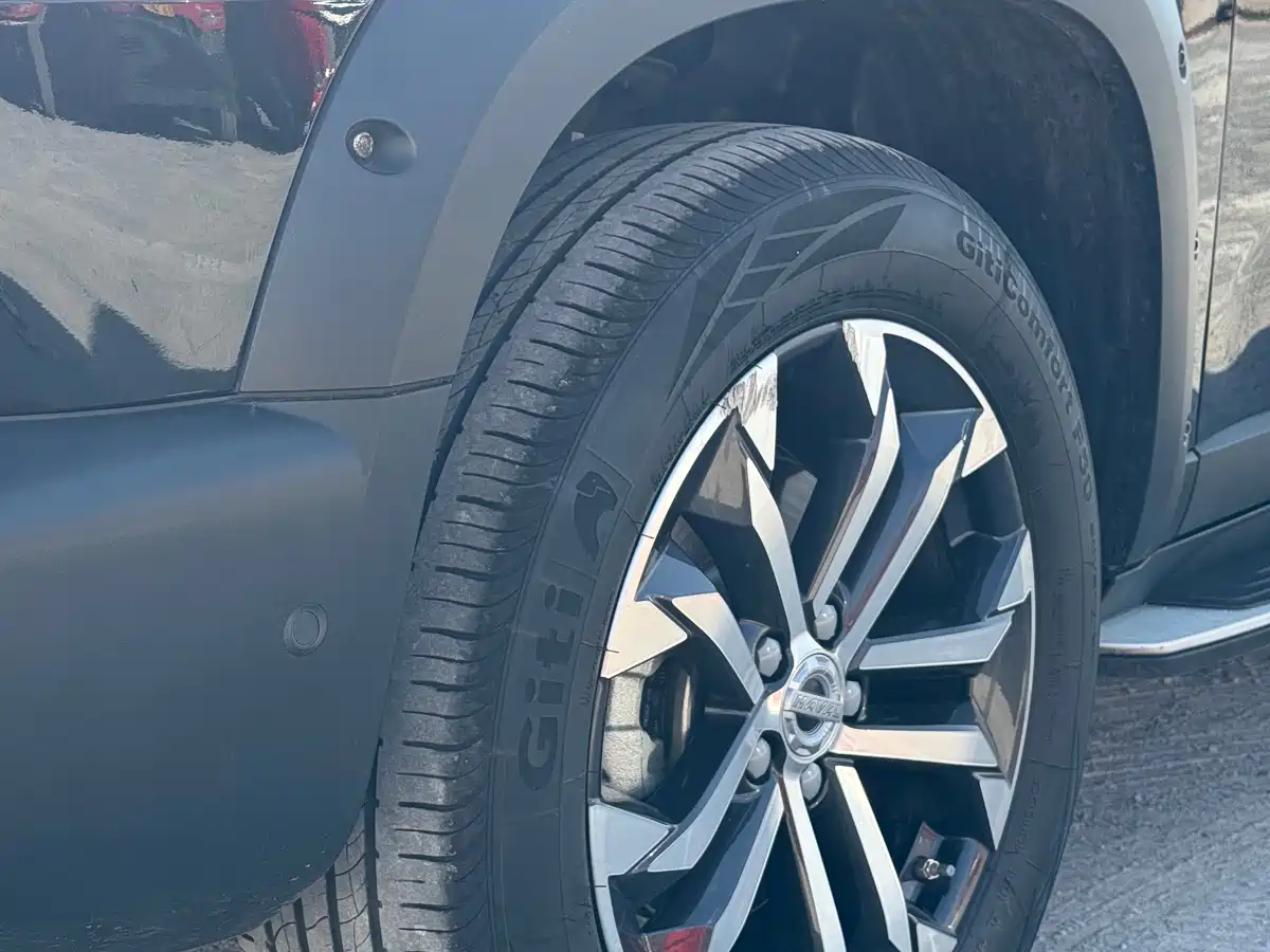 Haval Big Dog 2022 1.5T DCT 2WD Malinois Hunting Edition фото 16