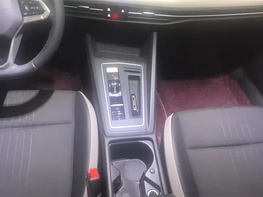 Volkswagen Golf 2021 280TSI DSG 30th Anniversary Edition фото 16