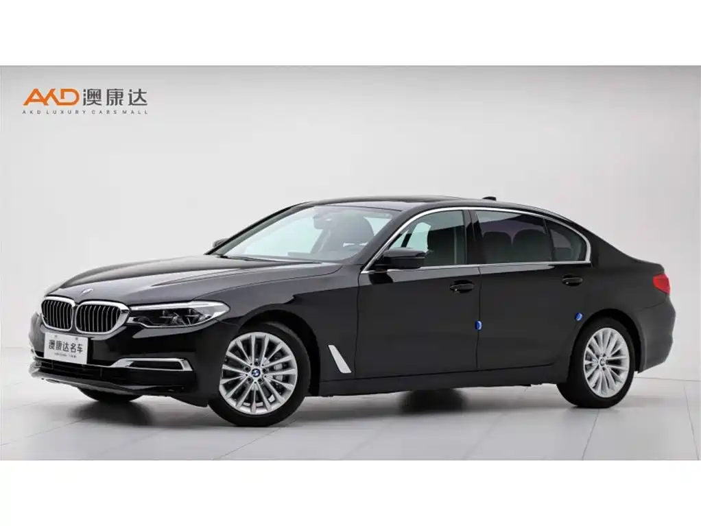 BMW 5 Series 2020 530Li xDrive Luxury Package