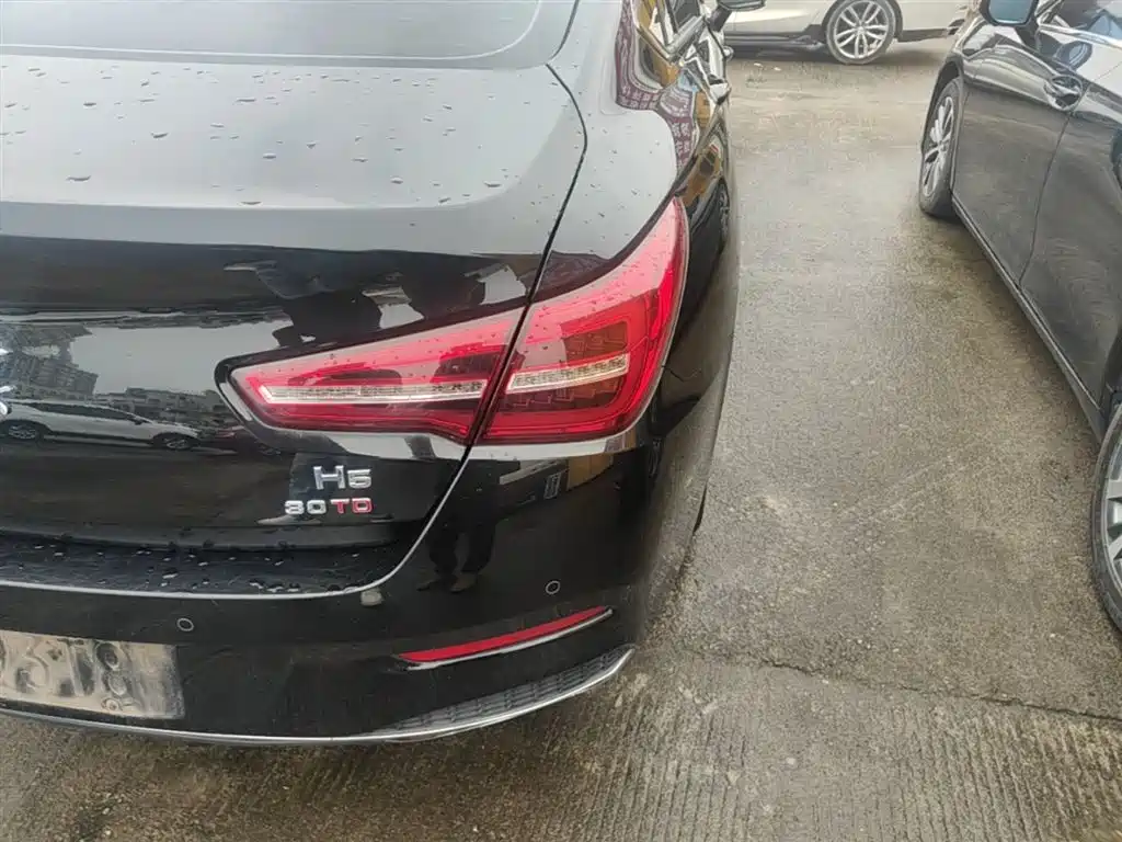 Hongqi H5 2022 Classic Facelift 1.5T DCT Flag Rhythm Edition фото 8