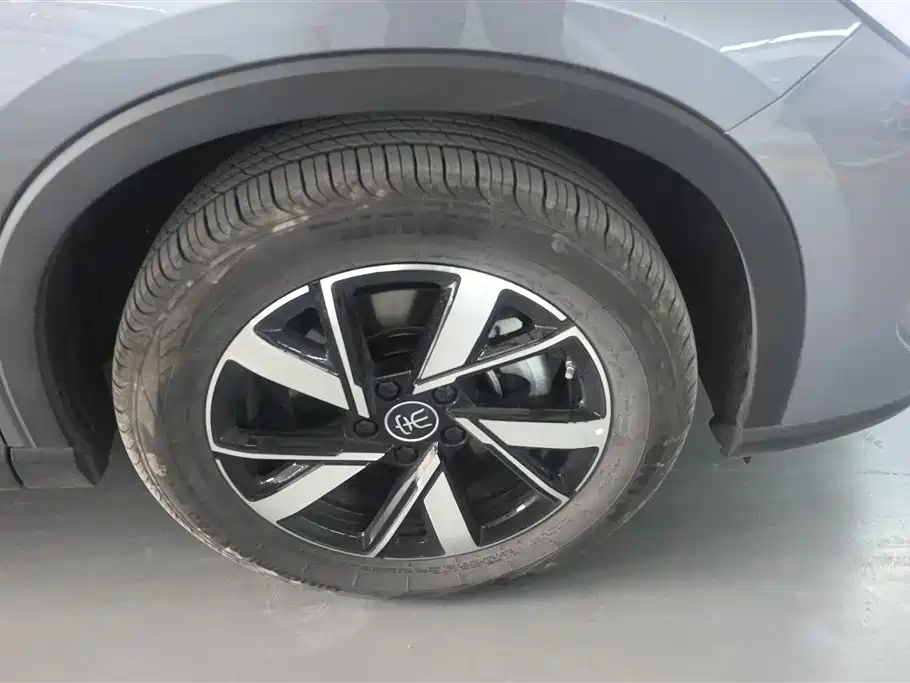 BYD SONGJIANG NEW ENERGY