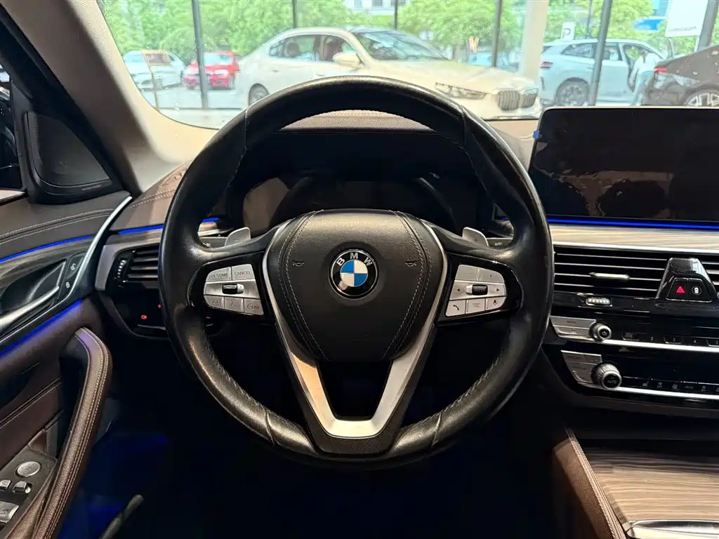 BMW 5 Series 2021 530Li Leading Luxury Package фото 11