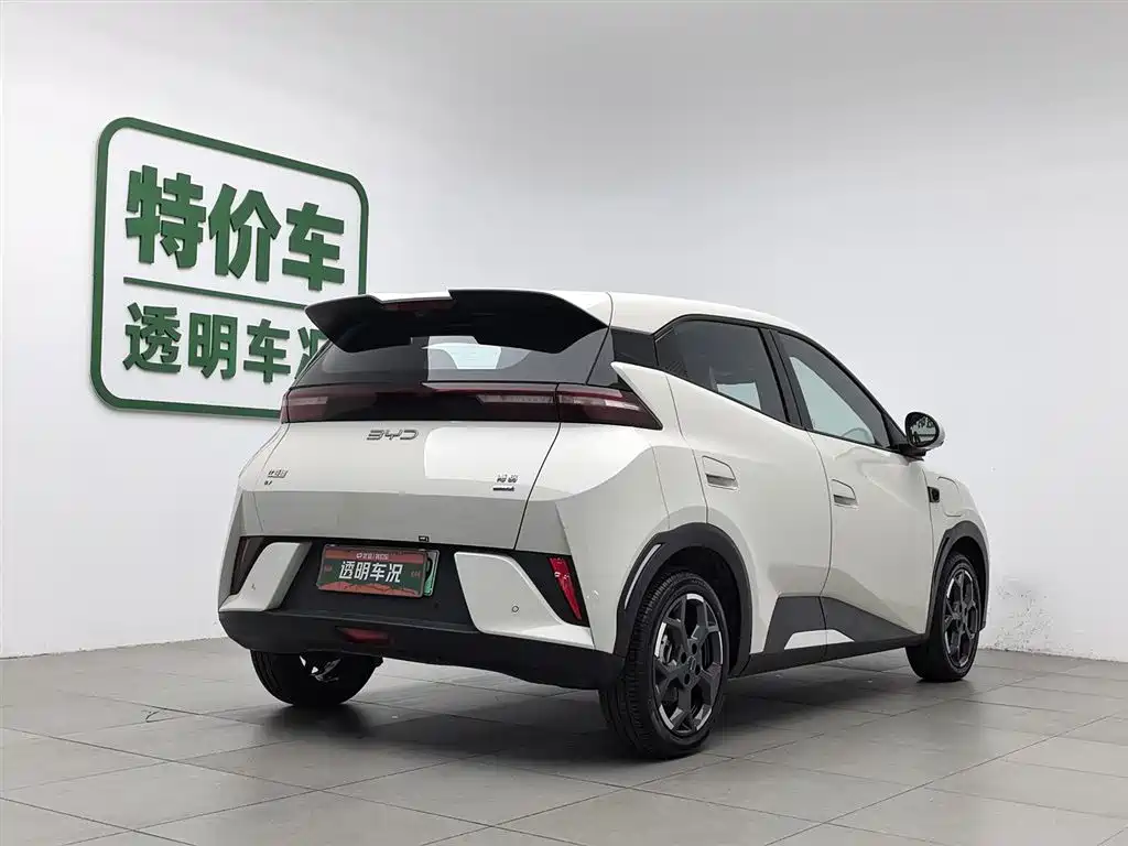 BYD Seagull 2025 Smart Drive Edition 305km Freedom Version фото 2