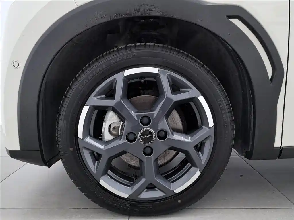 BYD Seagull 2025 Smart Drive Edition 305km Freedom Version фото 17