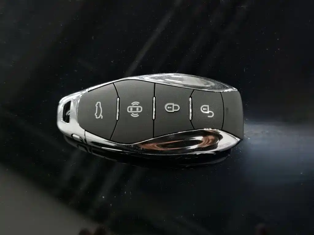 Hongqi HS5 2025 2.0T 2WD Mystic Shadow Edition фото 19