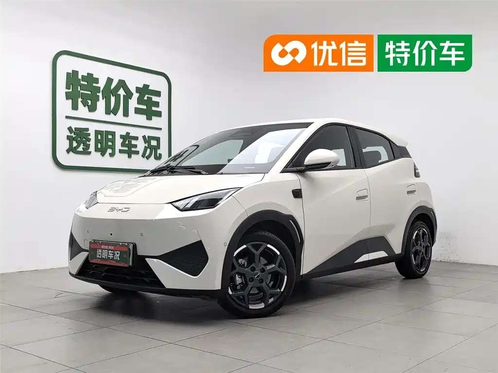 BYD Seagull 2025 Smart Drive Edition 305km Freedom Version
