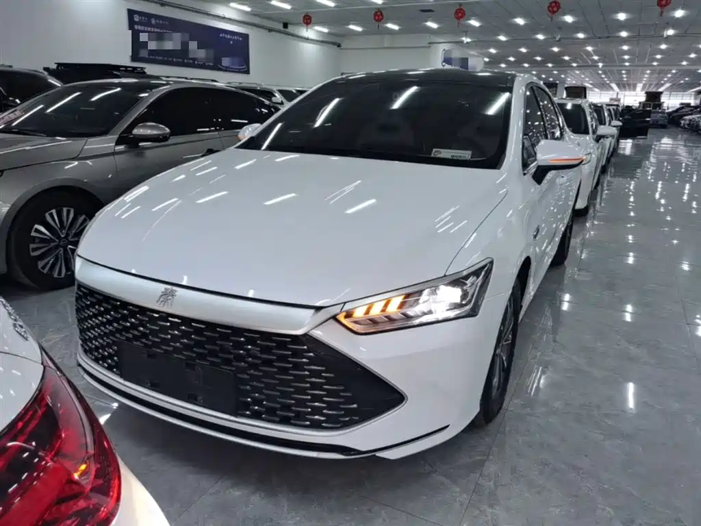BYD Qin PLUS 2023 Champion Edition DM-i 55KM Leading фото 3