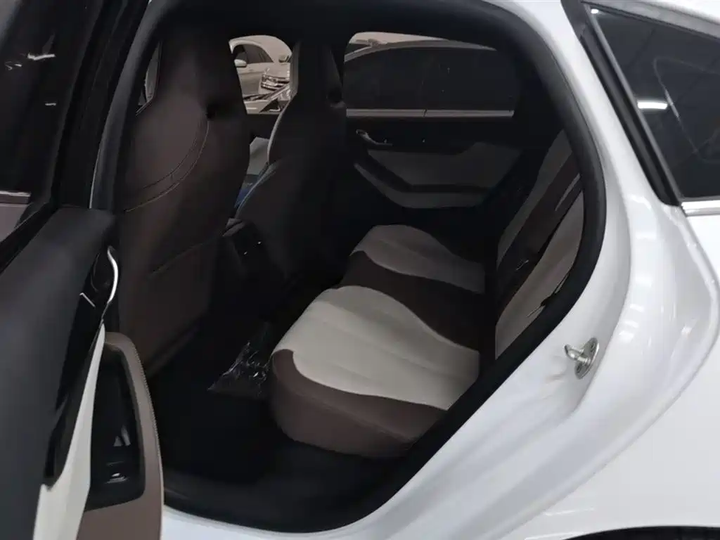 BYD Qin PLUS 2023 Champion Edition DM-i 55KM Leading фото 17