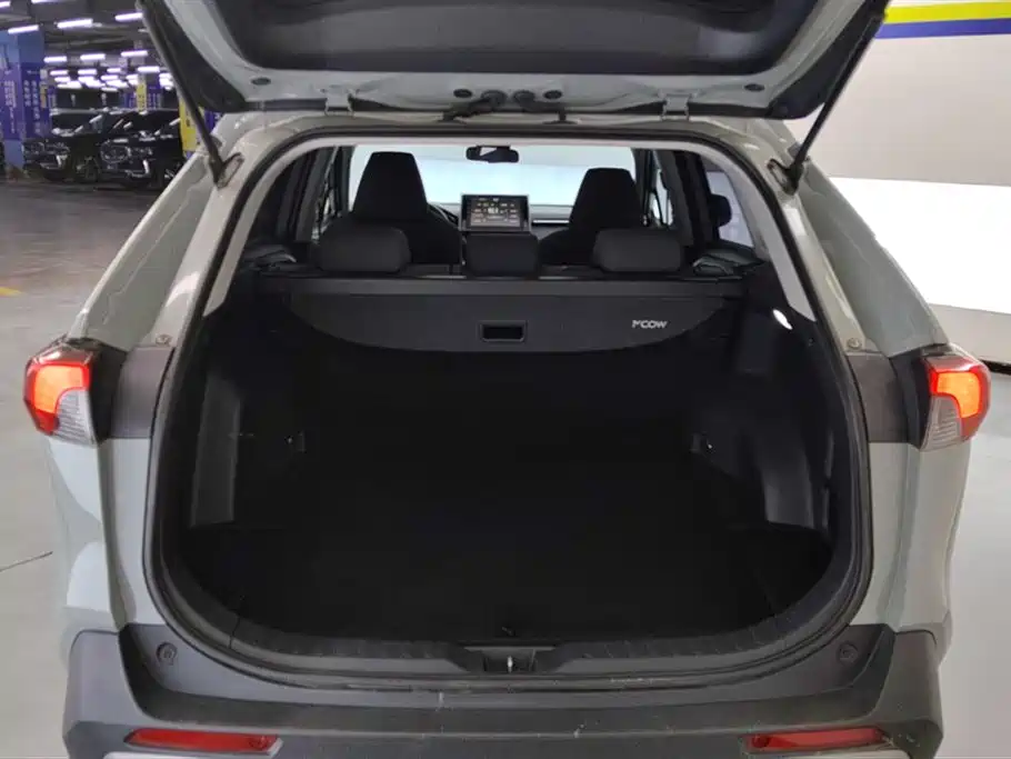 Toyota RAV4 Rongfang 2020 2.0L CVT AWD Trend Edition фото 4