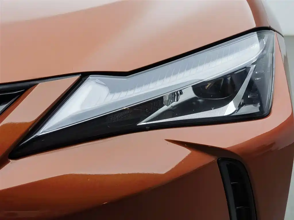 Lexus UX 2020 260h Explore Fun Edition China V фото 7