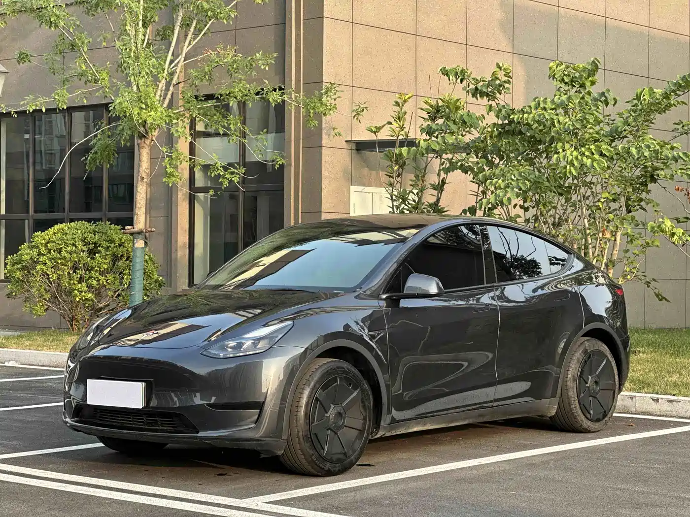 Tesla Model Y 2024 Rear-Wheel Drive Version